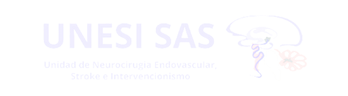 logo unesi monocrómatico